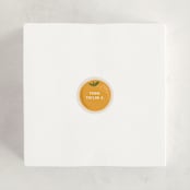 "Orange You Glad?" - Custom Stickers in Coconut by Olivia Goree - In Use