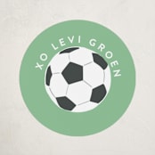 "Soccer Team" - Custom Stickers in Mint by Alethea and Ruth - Front