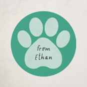 "Pawsitively Awesome" - Custom Stickers in Seafoam by Randi Cirelli - Front