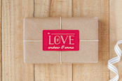 "Bold Love" - Custom Stickers in Poppy by Christina Novak - Front