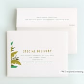 "Jungle View" - Children's Birthday Party Thank You Cards in Jungle by Grace Kreinbrink - FREE Recipient Addressing