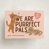 "purrfect pals" - Classroom Valentines in Peach by Jennifer Lew - Front