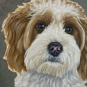 "Oval Canvas Pet Portrait" - Commissioned Original Painting in multicolor by Holton Stokes