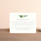 "Simple Pine Branches" - Direction Cards in Vanilla by Mere Paper - Front