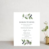 "Soft Greenery" - Direction Cards in Twilight by Susan Moyal - Front