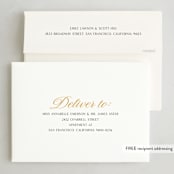 "Peacock" - Diwali Cards in Turmeric by Morgan Kendall - FREE Recipient Addressing