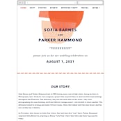 "tissue texture" - Wedding Website in Papaya by Carrie Moradi - Guest Management