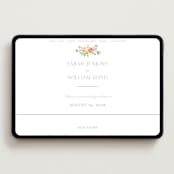 "Chelsea" - Wedding Website in Hibibscus by Everett Paper Goods - Desktop Design