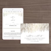 "Sparkle + Shine" - Wedding Website in Gold by Kristie Kern - Match Your Stationery