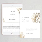 "Sophisticated" - Wedding Website in Mist by Kelly Schmidt - Match Your Stationery