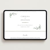 "Carolina" - Wedding Website in Meadow by Melanie Kosuge - Desktop Design
