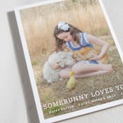 "Somebunny Loves You" - Easter Photo Cards in Pure White by Megan Davis - Detail