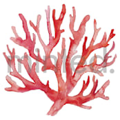 "Coral" - Design Element in Coral by Jenna Holcomb - Design Element