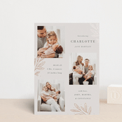 "Modern Botanica" - Birth Announcements in Rose by Oma N. Ramkhelawan - Front