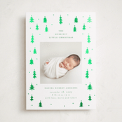 "Merry Little Trees" - Holiday Birth Announcement Cards in Icicle by Jennifer Holbrook - Front