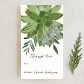 "Wrapped in Succulents" - Gift Tags in Ivory by Susan Moyal - Front