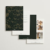 "New Orleans from Disney's Princess and The Frog" - Wedding Invitations in Mystic by Phrosné Barwood - Back of Card Options
