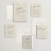 "Tilted Script" - Wedding Invitations in Ivory by Hannah Williams - Invitation Suite