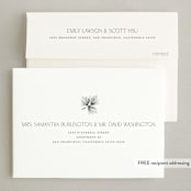 "New Addition" - Holiday Birth Announcement Cards in Balsam Fir by Benita Crandall - FREE Recipient Addressing