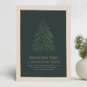 "Shining Lights" - Holiday Cards in Forest by Julie Murray - Front