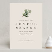 "Juniper Sprig" - Holiday Cards in Putty by Olivia Kanaley Inman - Front
