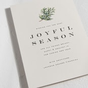 "Juniper Sprig" - Holiday Cards in Putty by Olivia Kanaley Inman - Detail