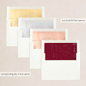 "Fa la la la la" - Holiday Cards in Fruitcake by Hudson meet Rose - Envelope Liners