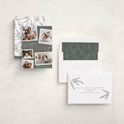 "Collage Scatter" - Holiday Cards in Sage by Melanie Severin - Assembled