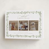 "Laurel Garland" - Holiday Cards in Snow by Everett Paper Goods - Folded Card