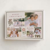 "Classic Bough" - Holiday Cards in Eggnog by Amy Kross - Folded Card
