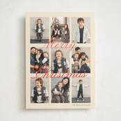 "Season Snapshot" - Holiday Cards in Champagne by Baumbirdy - Front