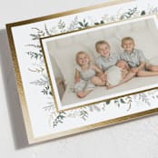 "Holly Framed" - Holiday Cards in Sage by Susan Moyal - Detail