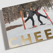 "c h e e r s !" - Holiday Cards in Snowflake by Sara Hicks Malone - Detail