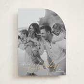 "Elegant Holiday" - Holiday Cards in Snow by Carolyn Nicks - Front