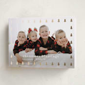 "Christmas Tree Frame" - Holiday Cards in Snow by Stacey Meacham - Folded Card