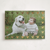 "Mickey frame" - Holiday Cards in Powder by Stacey Meacham - Front