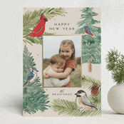 "Birds & Branches" - Holiday Cards in Cream by Amy Kross - Front