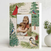 "Birds & Branches" - Holiday Cards in Cream by Amy Kross - Folded Card