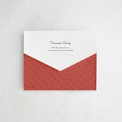 "Santa Stop" - All-In-One Holiday Cards in Evergreen by Carrie ONeal - Closed