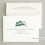 "berries and leaves" - Letterpress Holiday Cards in Evergreen by Carolyn MacLaren - FREE Recipient Addressing