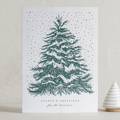 "O Tannenbaum" - Letterpress Holiday Cards in Pine by Paula Pecevich - Front