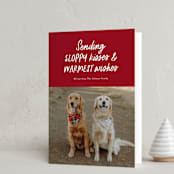 "Dog Wishes" - Holiday Cards in Cardinal by Ekko Studio - Folded Card