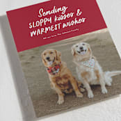"Dog Wishes" - Holiday Cards in Cardinal by Ekko Studio - Detail