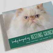 "Grinch Face" - Holiday Cards in Noble Fir by Erica Krystek - Detail