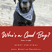 "Good Boy" - Holiday Cards in Crimson by J. Dario Design Co. - Detail