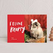 "Feline Merry" - Holiday Cards in Santa Suit by Chryssi Tsoupanarias - Front