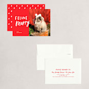 "Feline Merry" - Holiday Cards in Santa Suit by Chryssi Tsoupanarias - Assembled