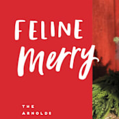 "Feline Merry" - Holiday Cards in Santa Suit by Chryssi Tsoupanarias - Detail