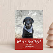 "Good Boy" - Holiday Cards in Crimson by J. Dario Design Co. - Front
