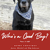 "Good Boy" - Holiday Cards in Crimson by J. Dario Design Co. - Detail